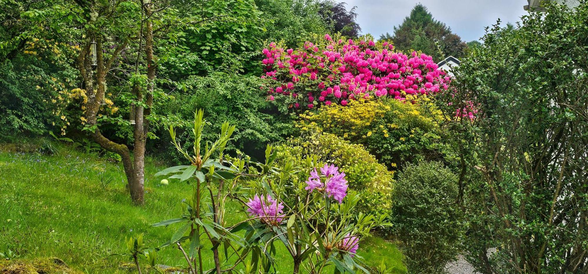 Bed and Breakfast Ards House Oban Esterno foto